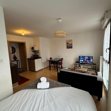 Le "Petit Colmarien" A 1Mn Du Centre Apartment Bagian luar foto
