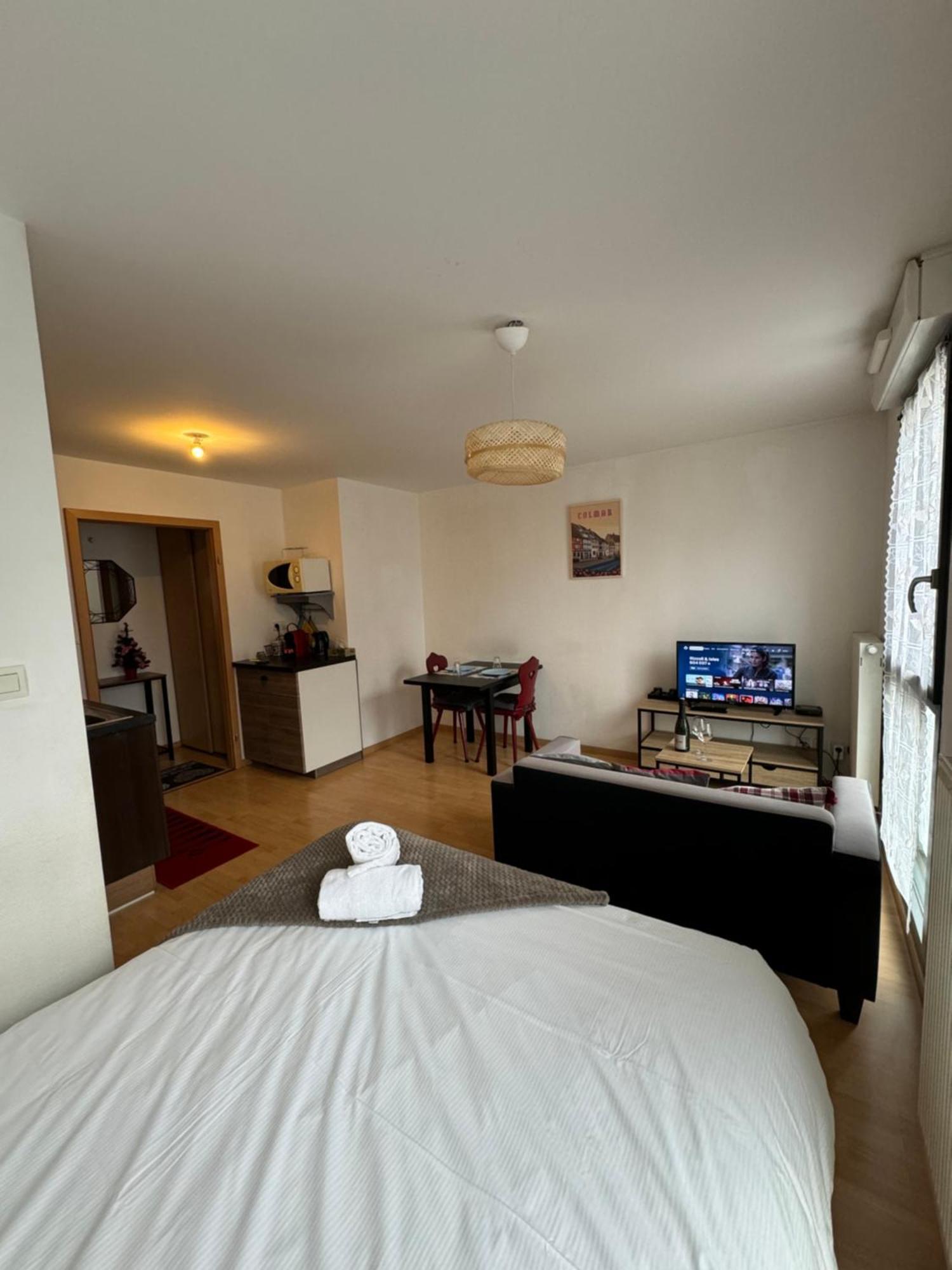 Le "Petit Colmarien" A 1Mn Du Centre Apartment Bagian luar foto