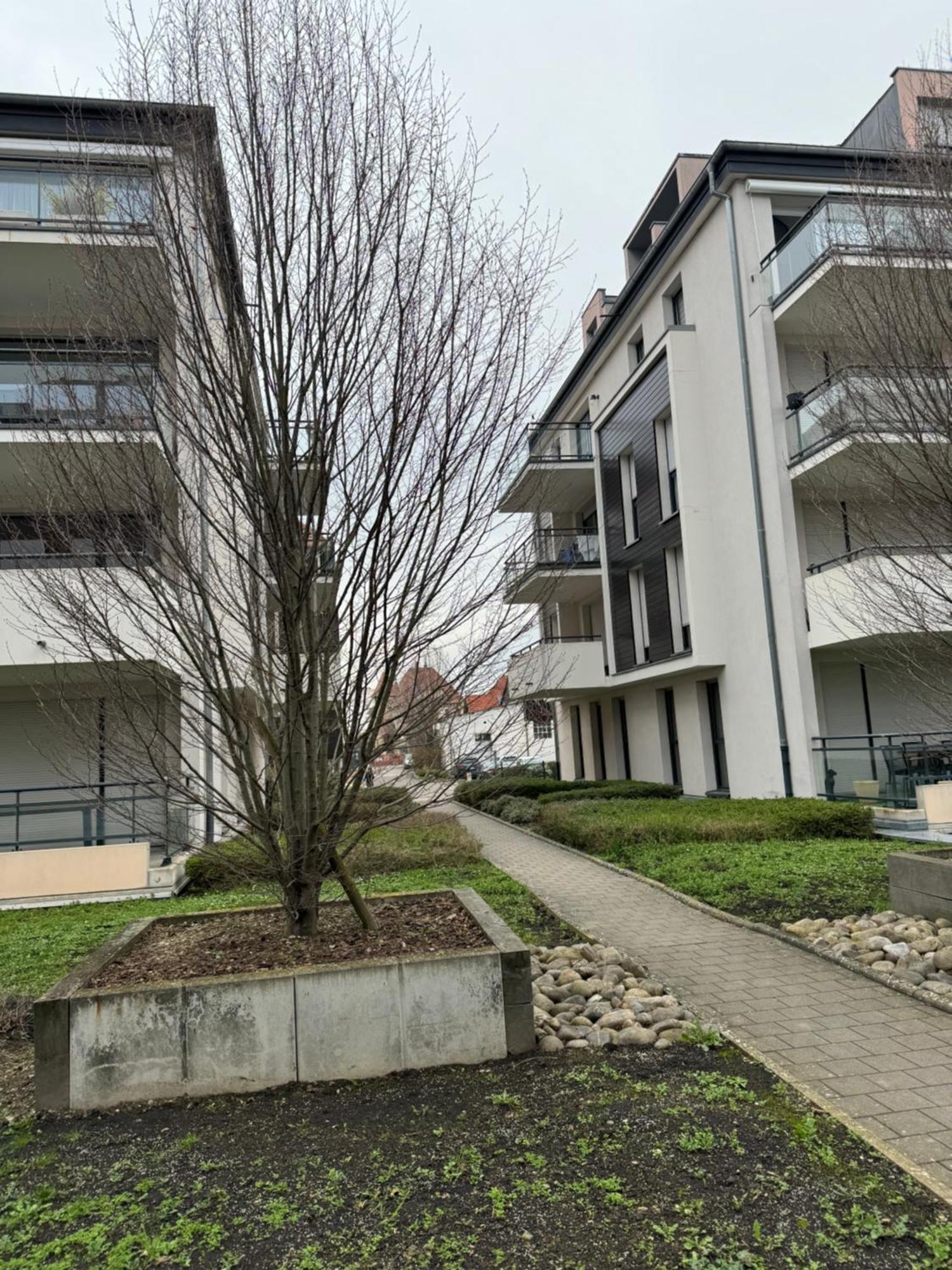 Le "Petit Colmarien" A 1Mn Du Centre Apartment Bagian luar foto
